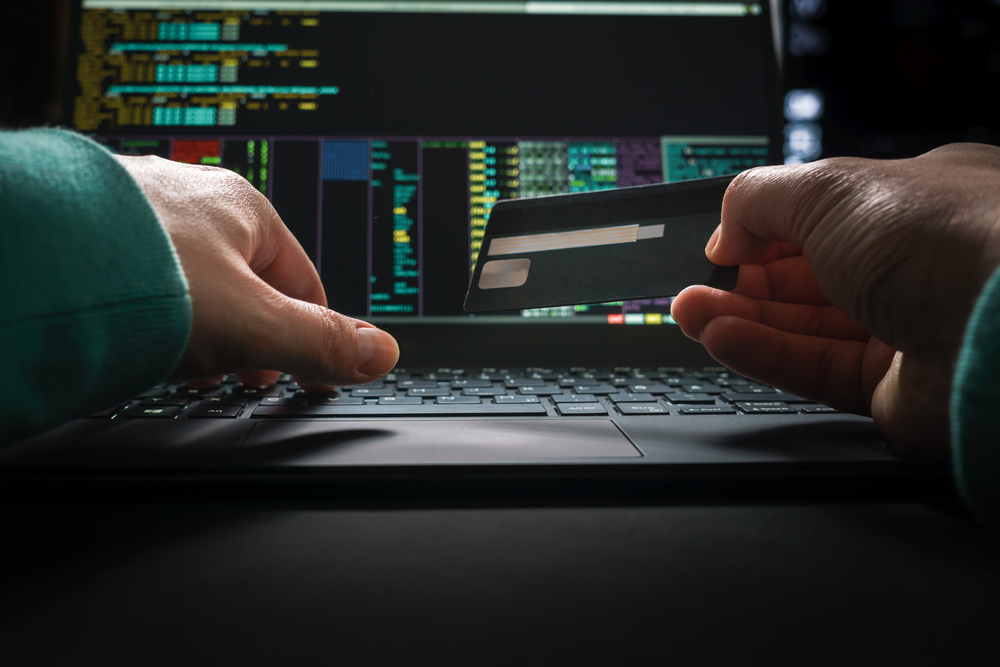 e-commerce credit card fraud