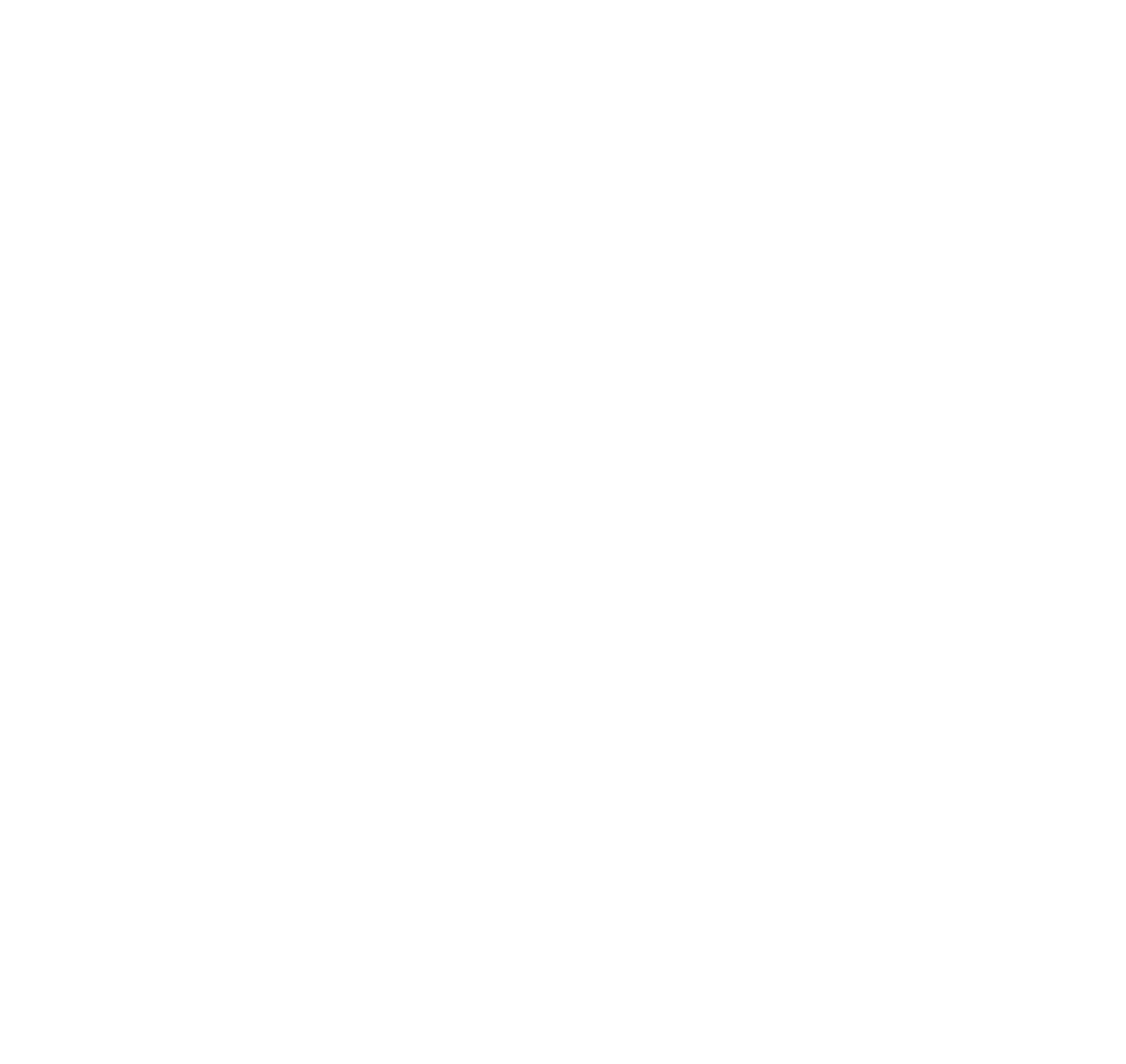 SCALEFAST Logo